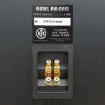 BIC AMERICA RTR-EV15 15-Inch 3-Way Eviction Series Bi-Ampable Floor Speaker with High-Efficiency Horn Tweeter (1 Pair)